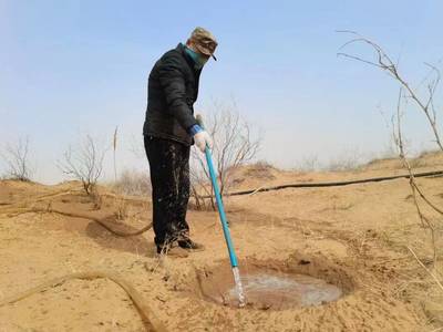 持續一小步，邁向綠色未來 每日黑巧以“巧護地球”引領農副產品銷售新篇章